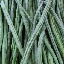 Fresh Seeds USA Seller Dark Green Yard Long Bean Seeds - £3.73 GBP