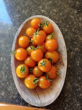 10 Sun Gold Tomato Seeds Sweet Juicy Delectable Fresh Seeds USA - $17.00