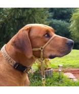 Comfort Trainer Head Halter - Size 4 - Red with Tan Nose Strap - $20.00