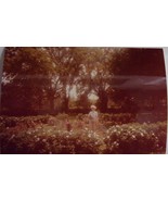 Vintage Grand Pie National Park Flower Garden New Hampshire 1984 Color P... - $1.99