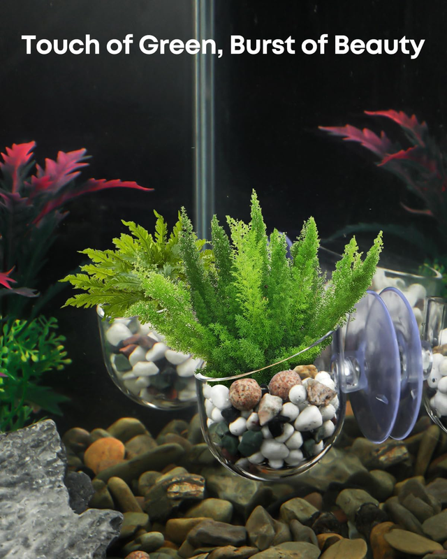 Pawfly 2 Pcs Aquarium Plant Holder, Fish Tank Plant Pot for Aquascape Decoration Item image 6
