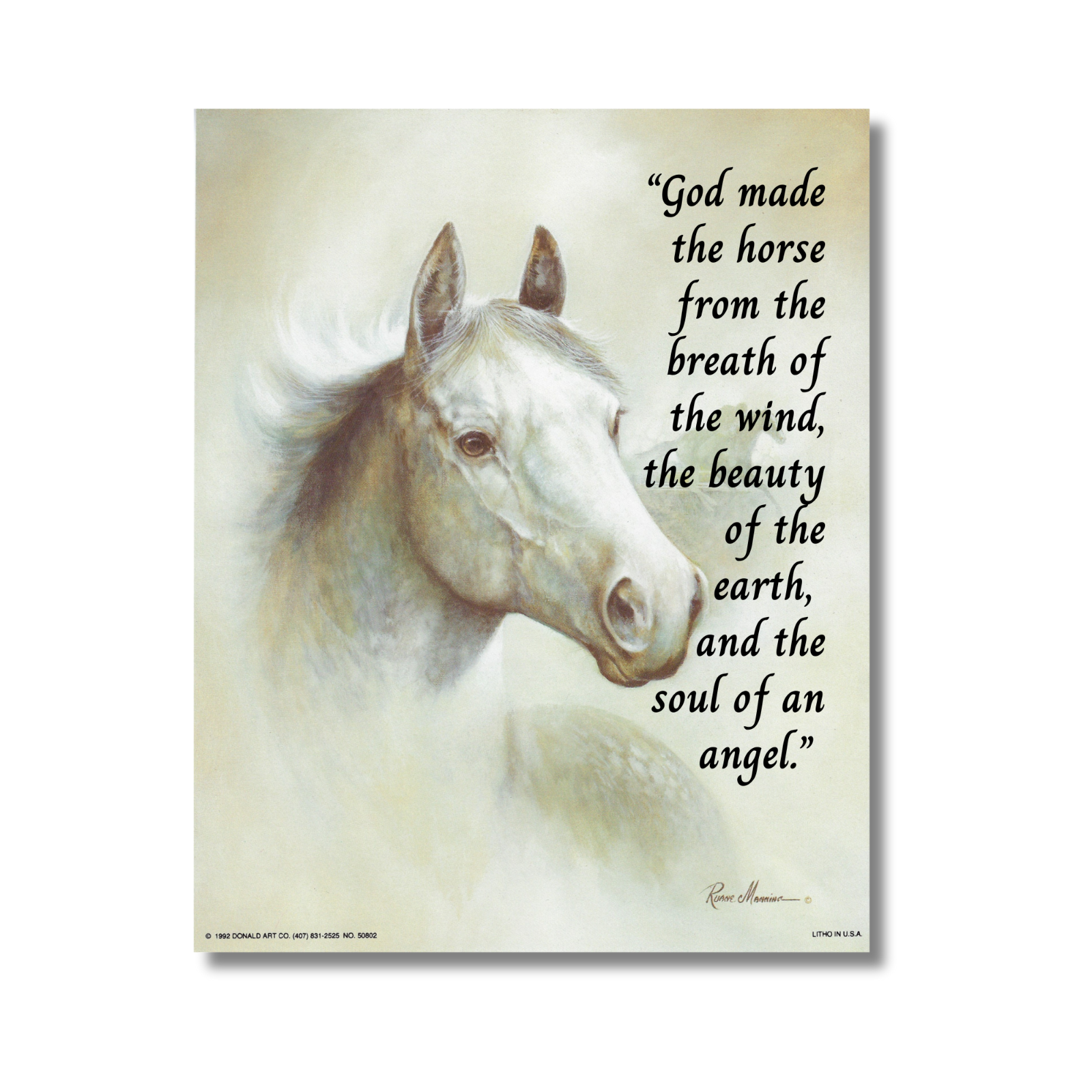 8 x 10 Unframed White Horse Wall Art Print Home Hanging Poster Home Decor - $6.98+