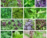 Basil Seeds Collection, NON-GMO, 12 Different Varieties, Heirloom, FREE ... - $1.67+