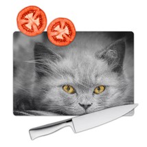 Cat Plotting : Gift Cutting Board Cute Animal Kitten Funny Not Quiet Eyes Sepia  - £23.16 GBP