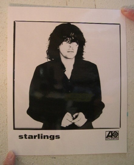 Starlings Press Kit And Photo  Too Many Dogs The - $26.99