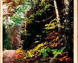 A Roadway in Autumn Berkshire Hills Massachusetts MA UNP Phostint Postca... - $3.91