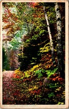A Roadway in Autumn Berkshire Hills Massachusetts MA UNP Phostint Postca... - £3.13 GBP