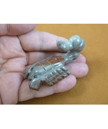 (Y-SCO-300) gray red SCORPION stone carving SOAPSTONE figurine Peru scor... - £12.12 GBP