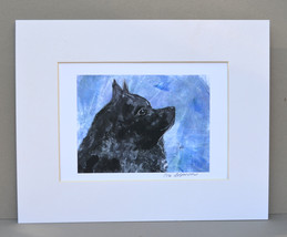 Schipperke Dog Art Print Solomon - £11.76 GBP