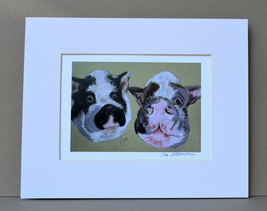 Pot Bellied Pig Art Print Signed Matted Solomon - $15.00