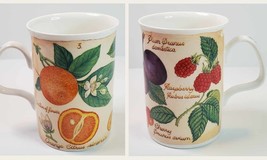 Roy Kirkham Parchment Fruit 3 Mug or Cup Fine Bone China England 2000 READ  - $19.75