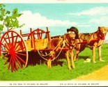 Vtg Postcard 1910s Quebec Canada Sainte Anne De Beaupre Dogs in Hat Pull... - $15.10
