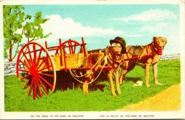 Vtg Postcard 1910s Quebec Canada Sainte Anne De Beaupre Dogs in Hat Pulling Cart - £11.86 GBP