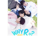 Why R U? (2023) Korean BL Drama - $49.00
