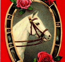 c1910 Lucky White Horse Horseshoe Roses Embossed Germany Postcard Posted - £19.48 GBP