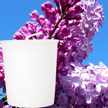 Fresh Lilac Scented Eco Soy Wax Votive Candles, Hand Poured - £18.17 GBP+