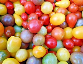 Rainbow Cherry Tomato Seeds, NON-GMO, Organic, Colorful, Free Shipping, Sale - £1.47 GBP+