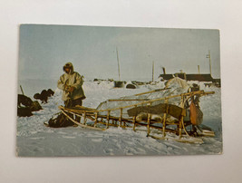 Eskimo Sled And Dogs Alaska Postcard - £7.83 GBP