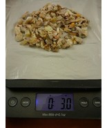 (O-290-1) 3 oz blue red green Coober Pedy opal chips specimen stone Aust... - $3,384.35 MXN