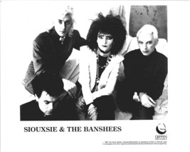Siouxsie &amp; The Banshees 1987 8x10 inch photo Geffen Records promo - £9.43 GBP
