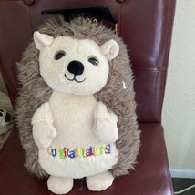 Plush “Congratulations” Stuffed Hedgehog ￼With Cap 2024 New. - $12.80