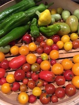 Item image 1 image 1