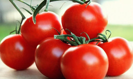 50 Seeds Campari Tomato Juicy Vegetable Garden Fresh Seeds - £8.39 GBP