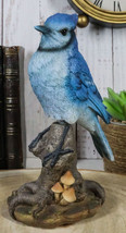 Wildlife Blue Jay Passerine Bird Perching on Tree Stump Spring Bouncing Figurine - £25.15 GBP