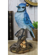 Wildlife Blue Jay Passerine Bird Perching on Tree Stump Spring Bouncing ... - $609.07 MXN
