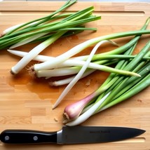 Welsh Bunching Green Onion Seeds- Grow Spring Onions- Perennial   (Scall... - $3.46+