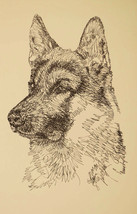 German Shepherd Dog #184 Stephen Kline Art Drawn From Words Your Dogs Name Free - £39.30 GBP