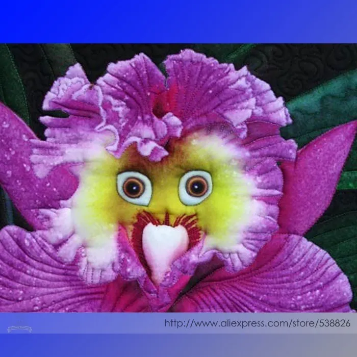 the World&#39;s Rarest Baby Face Orchid Perennial Flower Seeds - €6,34 EUR