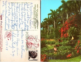 Florida St. Petersburg Sunrise Gardens Posted 1971 to Schenectady NY Postcard - £7.37 GBP