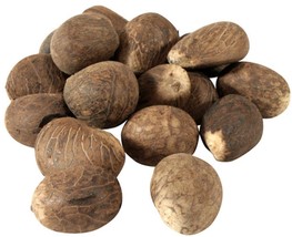 Fair Trade Ecuador Tagua Nuts | Vegan Ivory | Med 55-65mm / 2.16&quot;-2.56&quot; - £13.37 GBP+