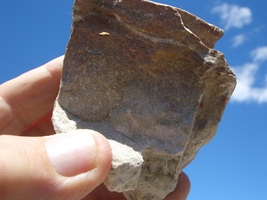 Coffinite Jurassic Canyon Nm Uranium 53,000. Cpm 14.3 Oz. $42.00 + $12.80 S/H - £33.02 GBP