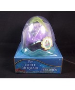 Disney The Little Mermaid ARIEL Make your own Terrarium kit NEW - £11.03 GBP