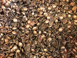 300x Brass Nails Upholstery Tacks Decorative Gilt Nail ( Made IN U.S.A.)... - $19.79