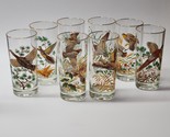 Vintage West Virginia Glass GAME BIRD Highball Glasses Full Set Of 8 - R... - $134.97