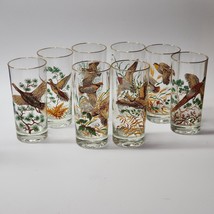 Vintage West Virginia Glass Game Bird Highball Glasses Full Set Of 8 - Rare Vhtf - £106.17 GBP