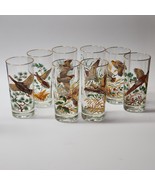 Vintage West Virginia Glass GAME BIRD Highball Glasses Full Set Of 8 - R... - £106.13 GBP