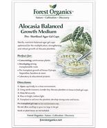 Alocasia Balanced Growth Medium  Pre-Sterilized Agar Gel - $33.26