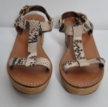 Tory Burch Tracy Womens Sandals 6.5 Platform Wedge T Strap Python Leather - $44.99