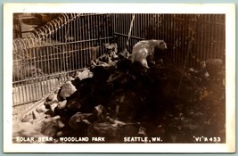 RPPC Polar Bear Exhibit Woodland Park Seattle Washington WA UNP Postcard H3 - £8.50 GBP