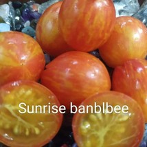 Sunrise Bumblebee Tomato Seeds Gardening USA SELLER - $7.08