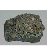 Ocean Sea Rock Coral Vintage Origin Unknown - $68.37 CAD