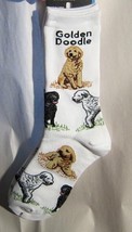 Adult Medium Golden Doodle Dog Breed Poses Footwear Dog Socks 6-11 - £9.56 GBP