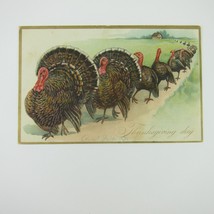 Thanksgiving Postcard Wild Turkeys on Parade Raphael Tuck Embossed Antique 1908 - £7.86 GBP