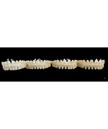 Artificial Teeth On Stabilizing Wire DIY  Upper &amp; Lower Not A Medical De... - $34.99