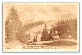 RPPC Mt Rainier From Paradise Valley Washington WA Noll Sepia Photo Postcard T16 - £6.22 GBP