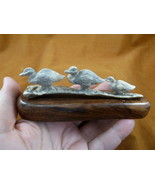 (DUCK-W2) three Ducks ducklings shed ANTLER figurine Bali detailed carvi... - $132.99
